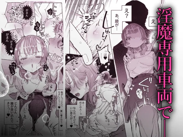 淫魔専用車両 玩具痴幹線 ～急行ホテルイき～